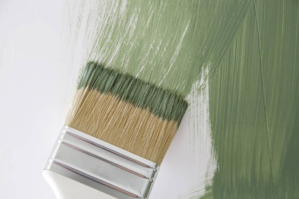Best Dehumidification Services  in Bay Pines, FL
