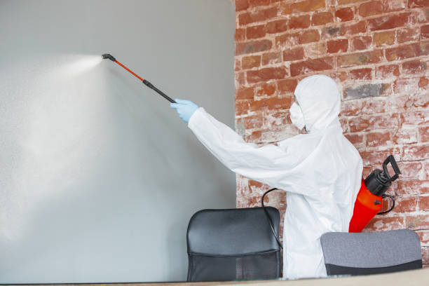 Best Mold Remediation for Healthcare Facilities  in Bay Pines, FL