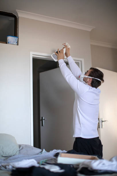 Best Mold Odor Removal Services  in Bay Pines, FL