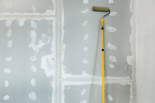 Best Real Estate Mold Inspection  in Bay Pines, FL