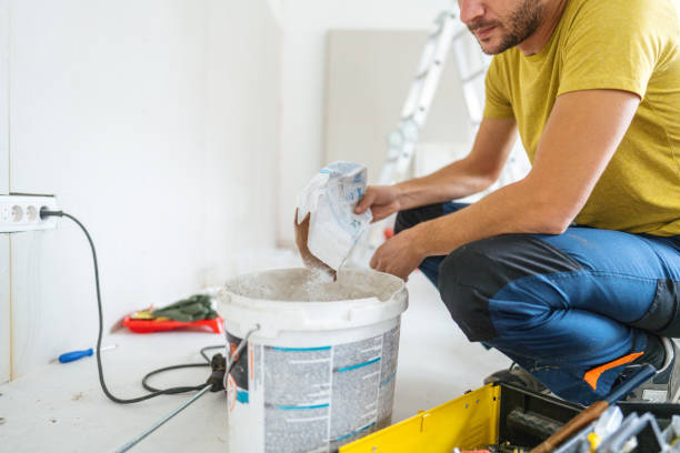 Best Flood Damage  in Bay Pines, FL