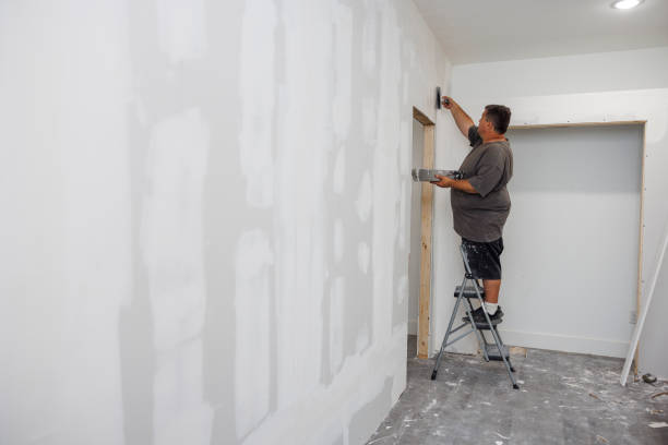 Professional Mold Removal in Bay Pines, FL