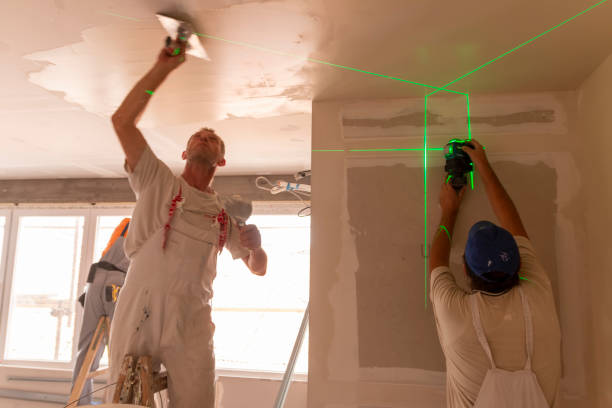 Best Biohazard Mold Removal  in Bay Pines, FL