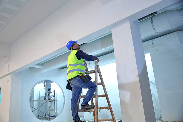Best Emergency Mold Remediation  in Bay Pines, FL